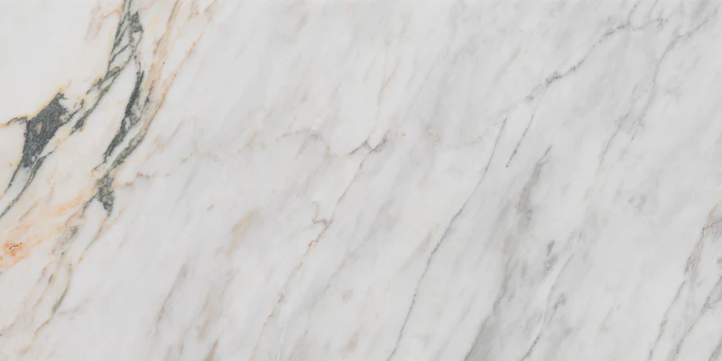 Calacatta Moon 2.webp